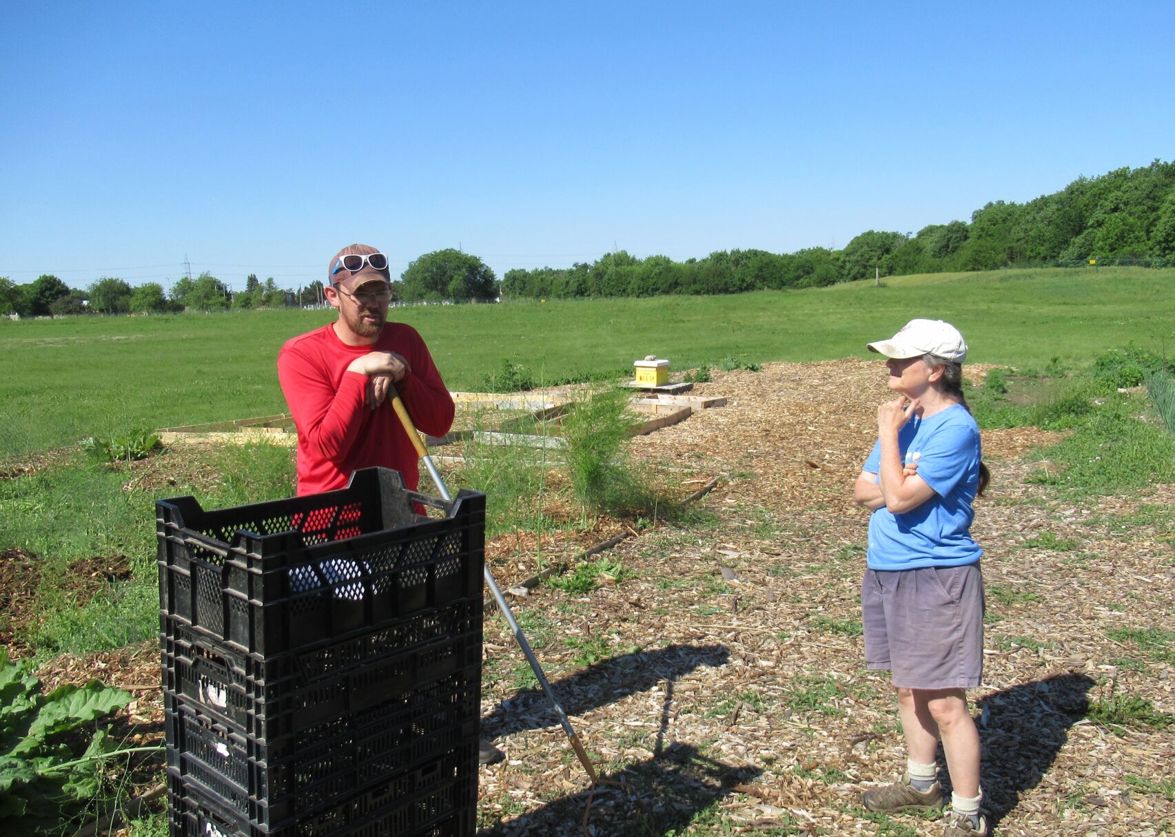 Sunnyside Community Garden and Food Forest